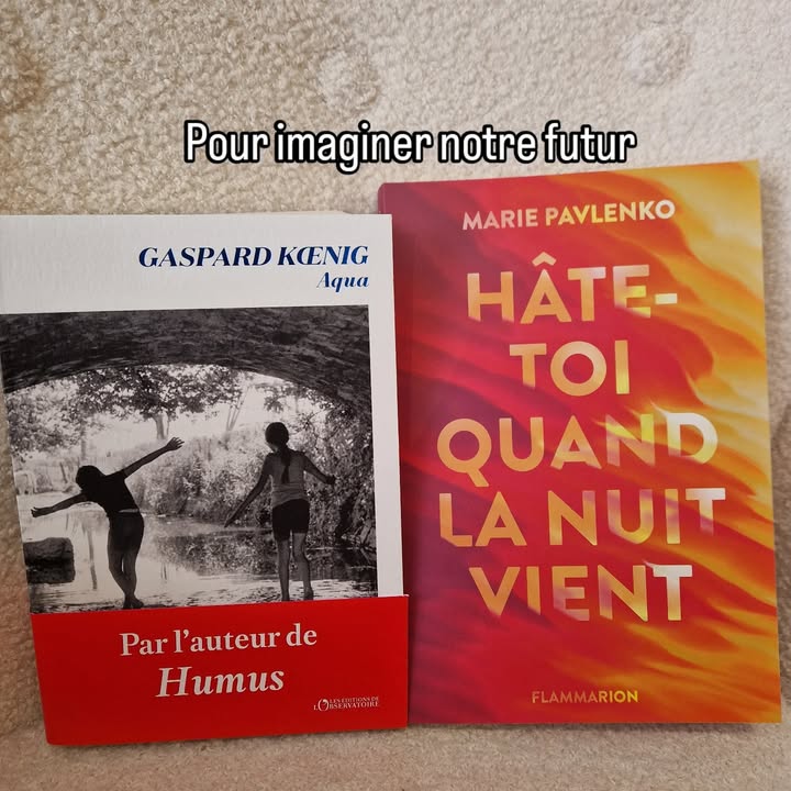 Librairie Les Passerelles